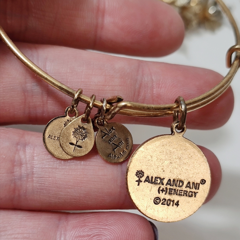 💎 2/$15 Alex and Ani 2014 Gold tone SISTER bracelet - Picture 5 of 6